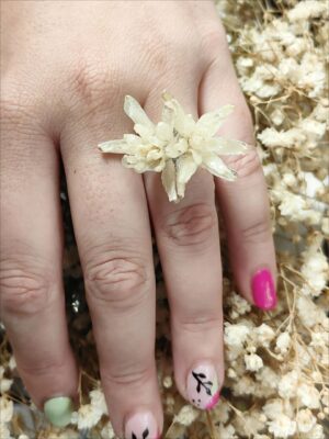 Anillo Nardo Anillo Nardo