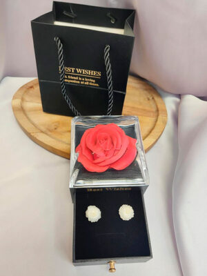 Comprar joyas para San valentin Cajita joyero con Pendientes de Mini Blancos