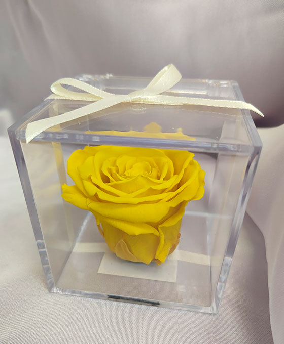 Rosa amarilla preservada Rosa Preservada