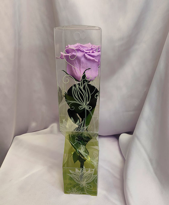 Rosa Preservada con Tallo