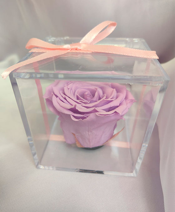 Rosa preservada morada Rosa Preservada