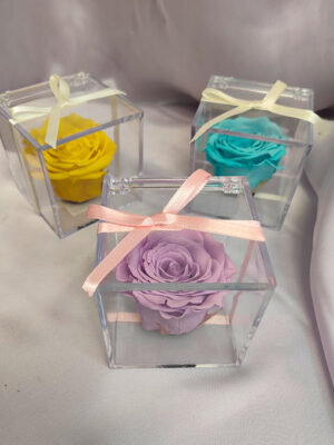 Rosa preservada para san valentin Rosa Preservada