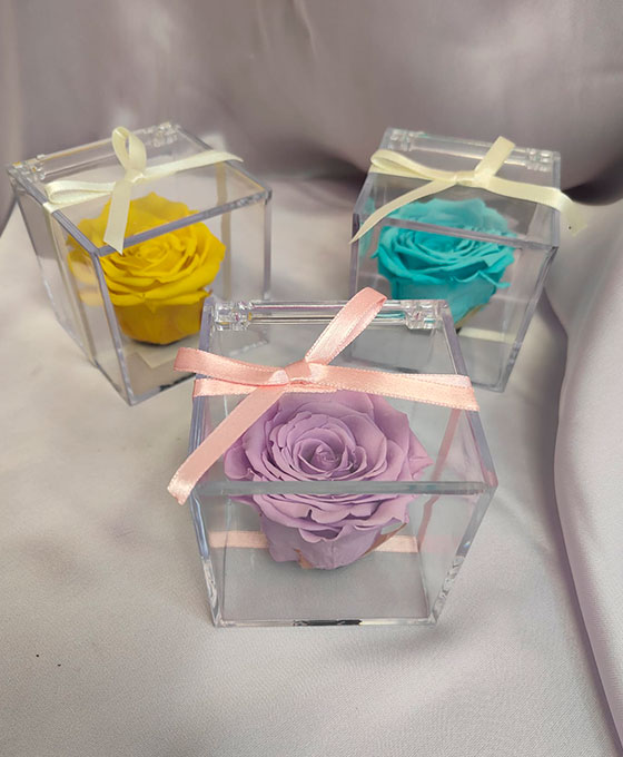 Rosa preservada para san valentin Rosa Preservada