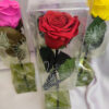 Rosas de colores para regalar Rosa Preservada con Tallo