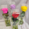 Rosas para San Valentin Rosa Preservada con Tallo
